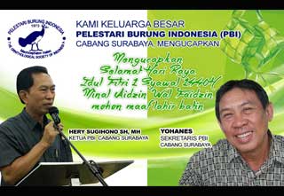 Media Burung Terlengkap Kontesburung Com